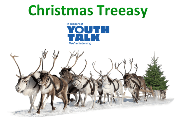 Christmas Treeasy in support of Youth Talk
